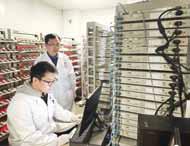 Organic cathode pushes battery limits